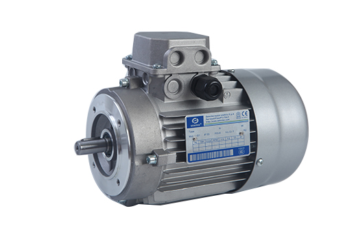 鋁殼電機YS YE2 YE3（B14）立式法蘭三相異步電機.JPG
